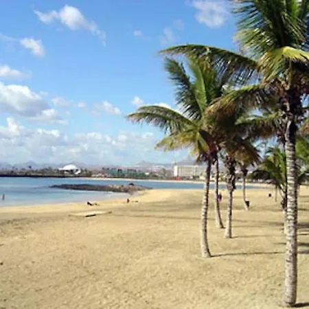 Centre * ארסיפה